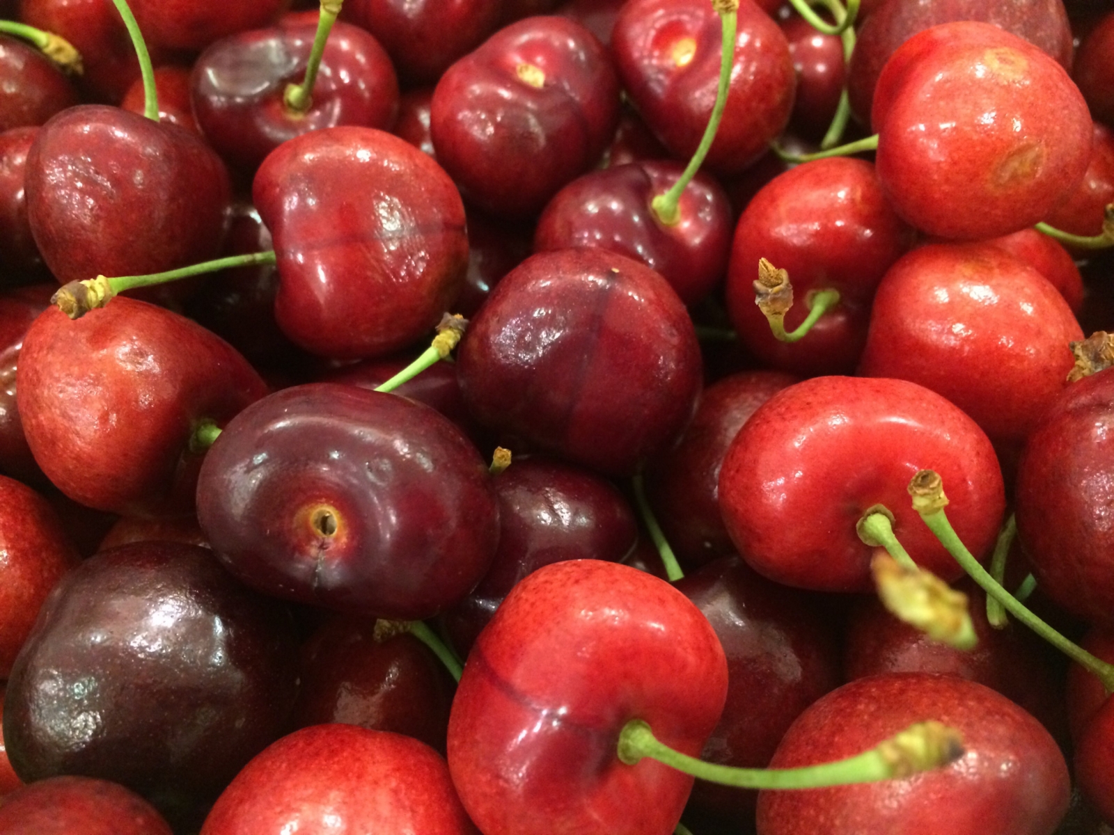 Những điều bạn nên biết về quả cherry