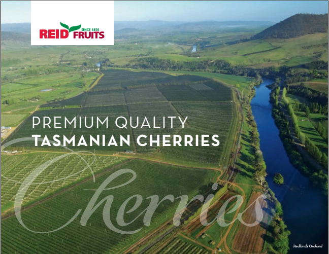 cherry tasmanian