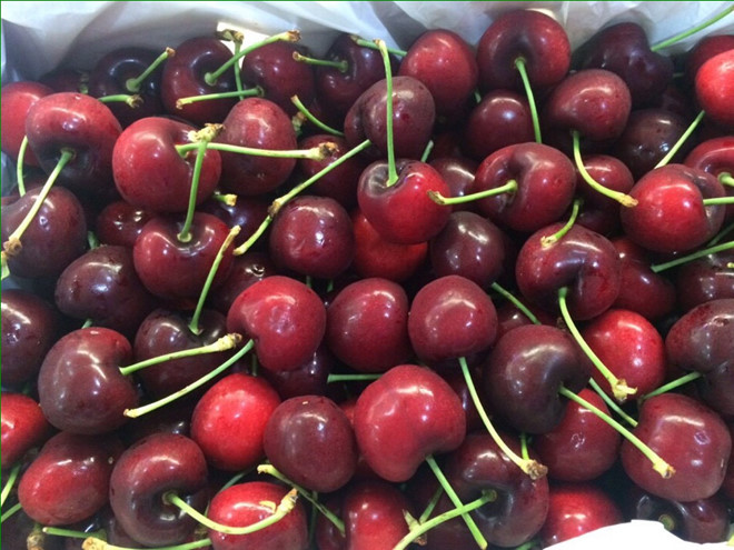 cherry