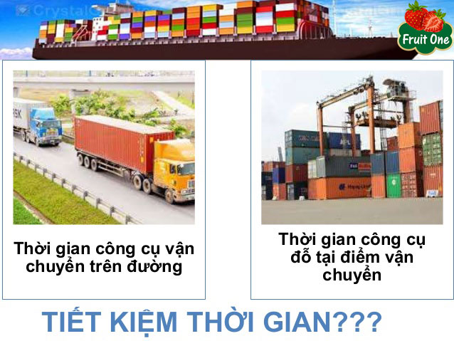 Sự khác nhau giữa trái cây nhập khẩu vận chuyển đường biển và hàng không