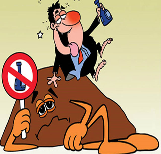 Giới thiệu chung về FruitOne