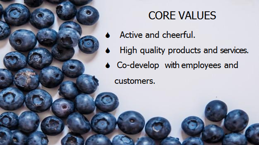 Giới thiệu chung về FruitOne