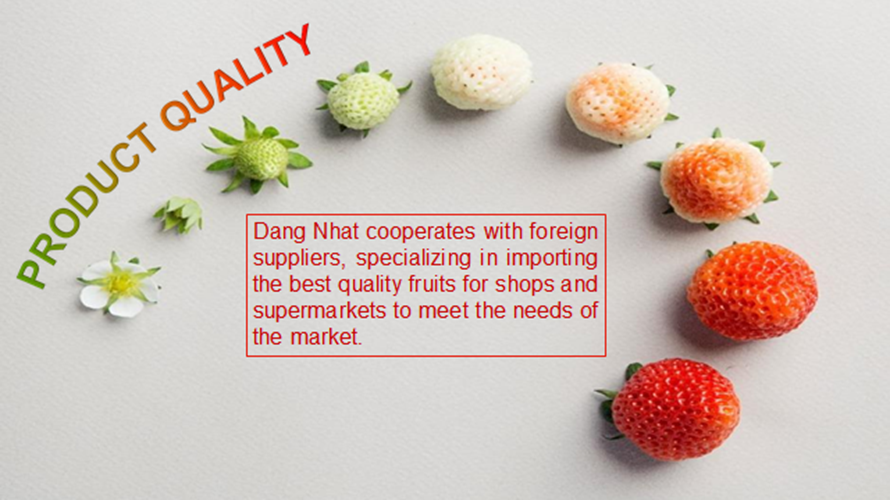 Giới thiệu chung về FruitOne