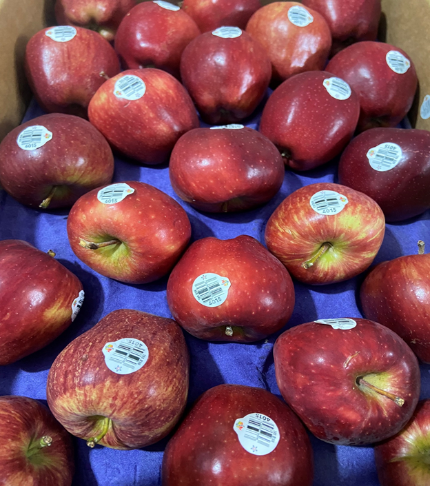 TỈ LỆ MẮC BỆNH UNG THƯ Ở VIỆT NAM RẤT CAO :