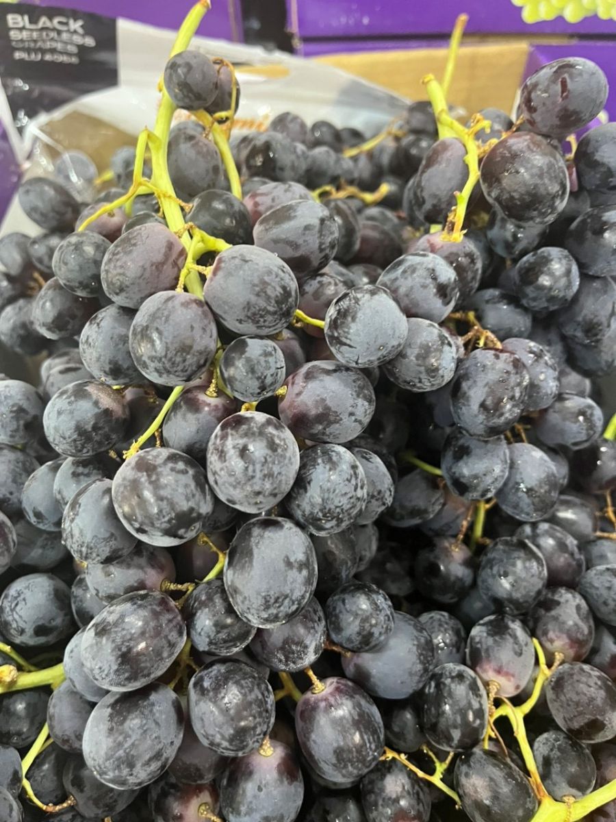 CÁC LOẠI TRÁI CÂY NHẬP KHẨU CÓ TỐT KHÔNG ? CÁC LOẠI TRÁI CÂY NHẬP KHẨU CÓ TỐT KHÔNG ?