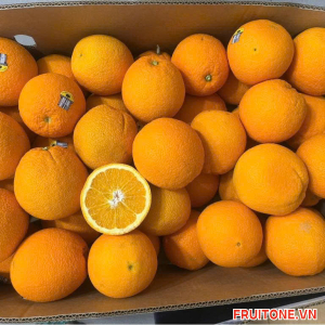 CAM RUỘT VÀNG ÚC