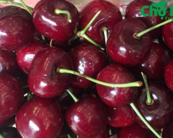 Cherry - món quà biếu tặng sang trọng