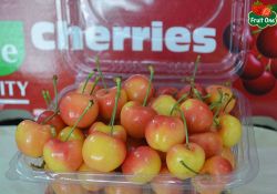Cherry - quà tặng trái cây cao cấp cho dịp lễ tết