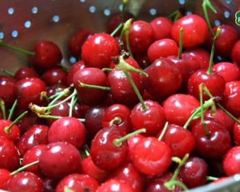 Cherry Úc tràn lan thị trường có thực sự là trái cây nhập khẩu “xịn”?