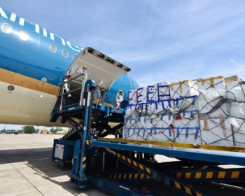 Cơn sốt hàng trái cây nhập khẩu về Việt Nam được vận chuyển đường hàng không.