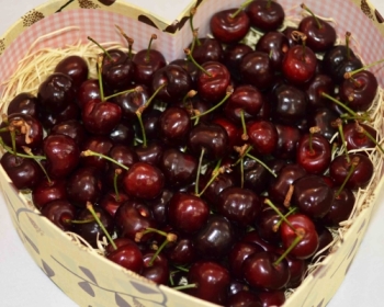 Món quà nên tặng Sếp trong những ngày Tết