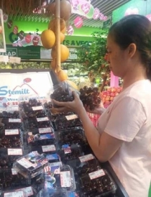 Mua cherry New Zealand ở đâu tại tp Hồ Chí Minh?