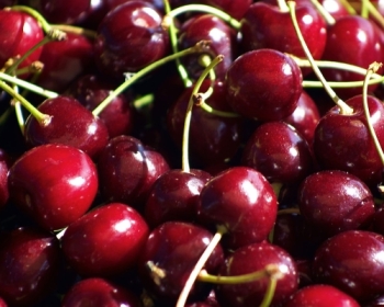 Mùa Cherry New Zealand với FruitOne