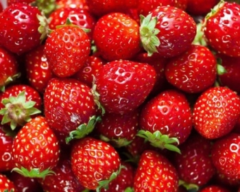 Mỹ cảnh báo dâu tây là trái cây chứa thuốc  trừ sâu nhiều nhất