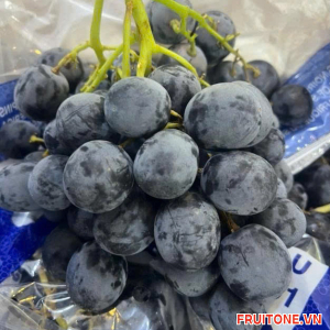 NHO ĐEN KHÔNG HẠT ÚC