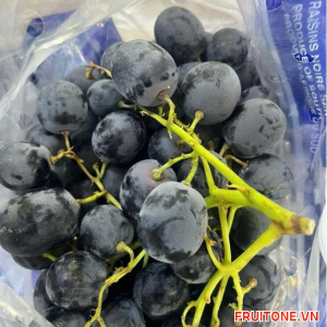 NHO ĐEN KHÔNG HẠT ÚC