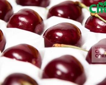 Những loại trái cây nhập khẩu nóng nhất dịp Tết 2018 này