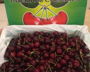 Quà Tết 2018 sang trọng ý nghĩa bạn nên mua