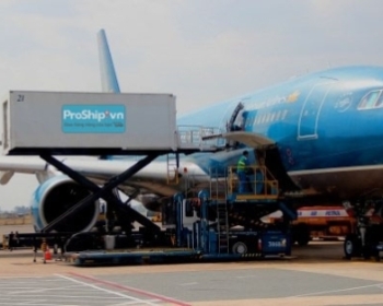 Sự khác nhau giữa trái cây nhập khẩu vận chuyển đường hàng không và vận chuyển container