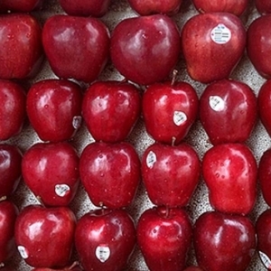 TÁO ĐỎ MỸ - Hộp 6 trái