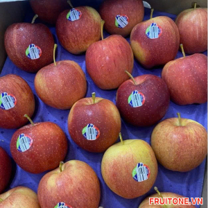 TÁO GALA MỸ ( HỘP 6 TRÁI )