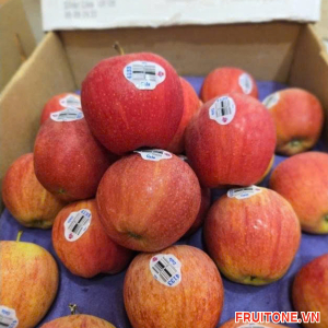 TÁO GALA MỸ (KG)