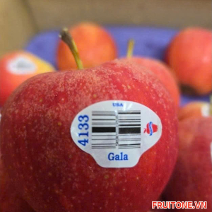 TÁO GALA MỸ (KG)