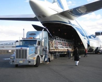 Trái cây nhập khẩu được vận chuyển bằng đường hàng không về Việt Nam tại FruitOne