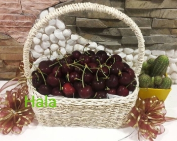 Vẻ đẹp của phong tục tặng quà ngày Tết của người Việt